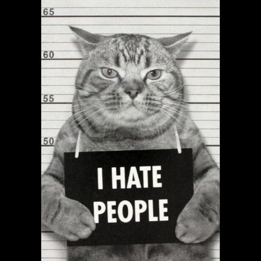 People Hating Cat Poster