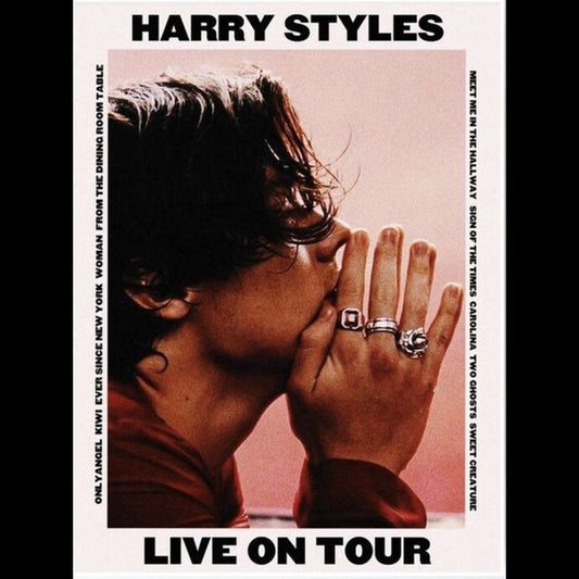 Harry Styles Poster