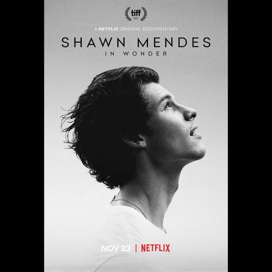 Shawn Mendes Poster